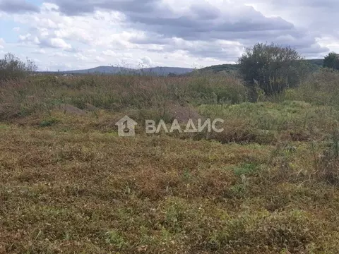 Участок в Приморский край, с. Михайловка ул. Тихоокеанская, 149 (15.0 ...