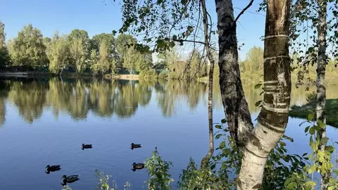 Участок, 8.4 сот., поселения (ижс)