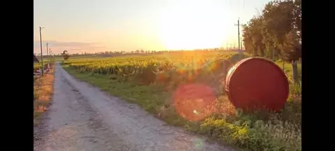 Участок в Краснодарский край, Анапа муниципальный округ, Гостагаевская ...