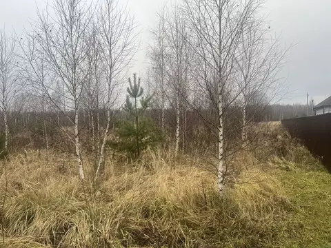 Участок в Московская область, Раменский муниципальный округ, д. ...