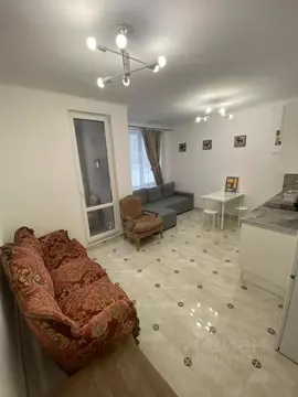 Студия Санкт-Петербург аллея Арцеуловская, 21 (26.0 м)