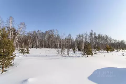 Участок в Тюменская область, Тюменский муниципальный округ, Каменское ...