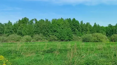 Участок в Московская область, Раменский муниципальный округ, д. ...