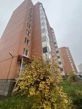 3-к кв. Ленинградская область, Всеволожск Южный мкр, ул. Московская, ...