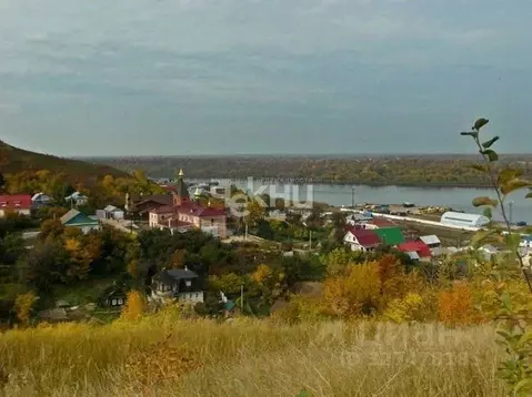 Участок в Нижегородская область, с. Безводное ул. Научная (540.0 сот.)