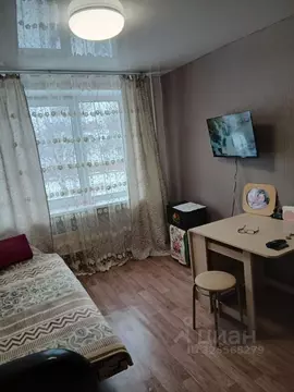 Студия Башкортостан, Уфа ул. Софьи Перовской, 25 (18.0 м)