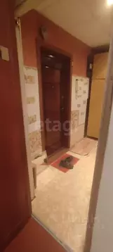 1-к кв. Мордовия, Саранск городской округ, Николаевка рп ул. ...