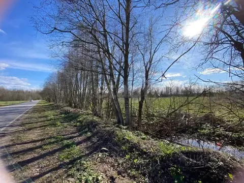 Участок в Ленинградская область, Волховский район, Бережковское с/пос, ...