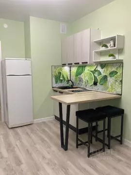 Студия Санкт-Петербург ул. Русановская, 24 (22.0 м)