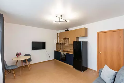 Студия Тюменская область, Тюмень Кремлевская ул., 112к4 (26.3 м)