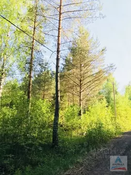 Участок в Ярославская область, Переславль-Залесский муниципальный ...