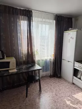 1-к кв. Алтайский край, Барнаул ул. Гущина, 167 (32.7 м)