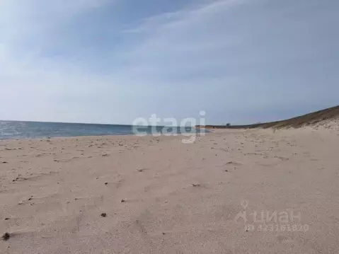 Участок в Крым, Черноморский район, Окуневское с/пос, Золотой Крым кп  ...