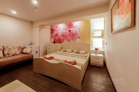 Комната Нижегородская область, Нижний Новгород бул. Мира, 10 (20.0 м)