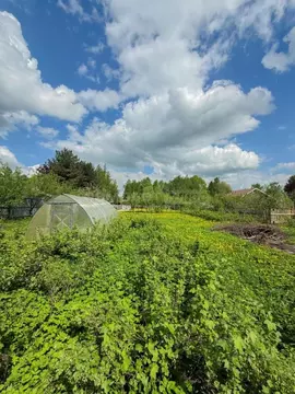 Участок в Московская область, Одинцовский городской округ, д. ...