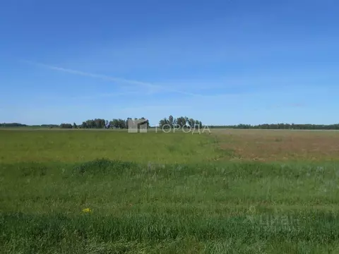Участок в Алтайский край, Первомайский район Р-256 Чуйский тракт, ...