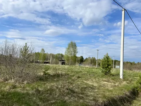 Участок в Тюменская область, Тюменский муниципальный округ, Ежевика дп ...