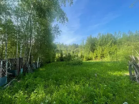 Участок в Московская область, Дмитровский муниципальный округ, СНТ ...