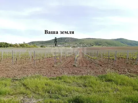 Участок в Севастополь Балаклавский муниципальный округ, с. Оборонное, ...