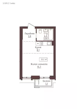 1-к кв. Алтайский край, Барнаул ул. Папанинцев, 157 (33.2 м)