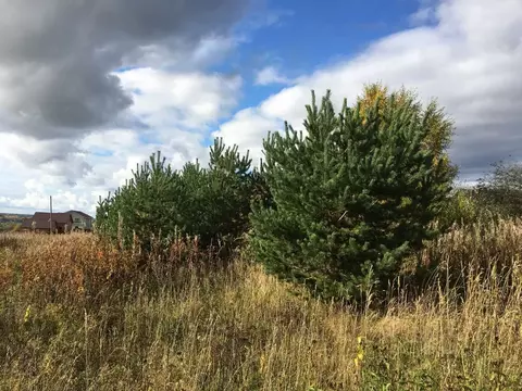 Участок в Ленинградская область, Выборгский район, Красносельское ...