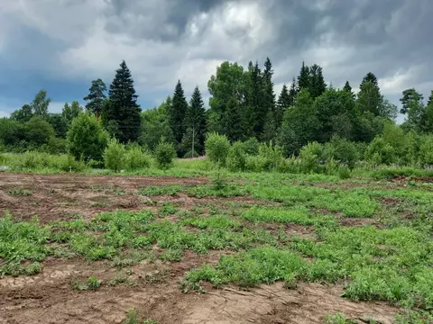 Участок в Московская область, Дмитровский муниципальный округ, пос. ...
