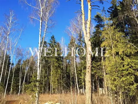 Продается участок в д. Барвиха