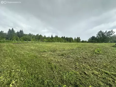 Участок в Сергиево-Посадский городской округ, деревня Житниково (20 м)