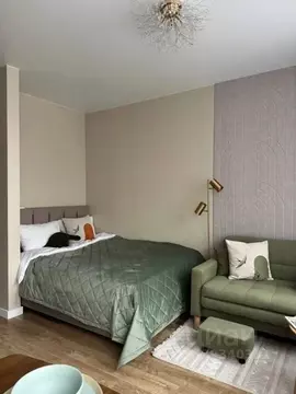 1-к кв. Санкт-Петербург ул. Шкапина, 15 (25.0 м)