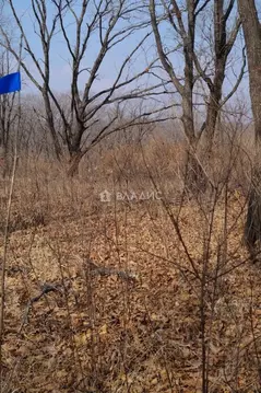 Участок в Приморский край, Надеждинский район, пос. Западный  (9.96 ...