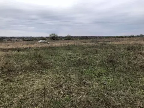 Участок в Брянская область, Брянский район, Новодарковичское с/пос, ...