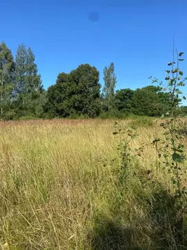 Участок в Московская область, Можайский муниципальный округ, д. ...