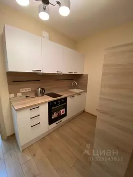 Студия Санкт-Петербург Новолитовская ул., 14 (26.0 м)