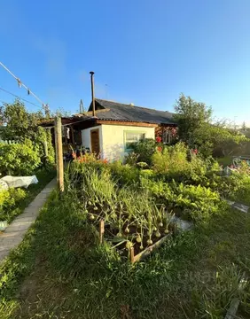 Дом в Бурятия, Улан-Удэ Южный мкр, ул. Бограда, 35 (64 м)