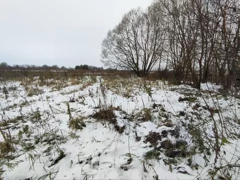 Участок в Московская область, Лотошино муниципальный округ, д. ...