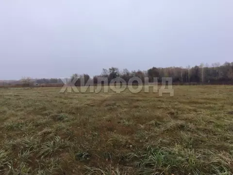 Участок в Новосибирская область, Новосибирский район, Верх-Тулинский ...