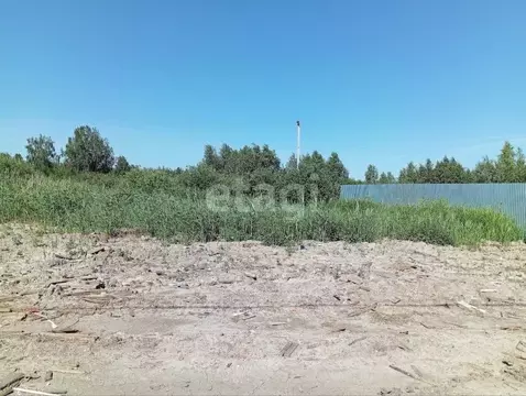 Участок в Тюменская область, Тюмень Ясень садовое товарищество, ул. ...