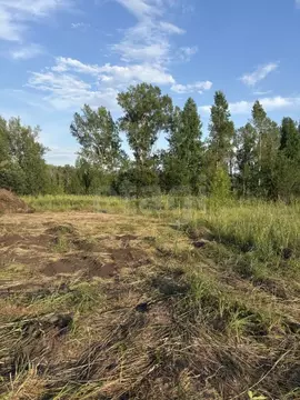 Участок в Алтай, Майминский район, с. Подгорное ул. Прибрежная (15.0 ...