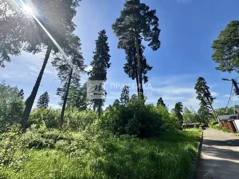 Продается участок в г. Пушкино