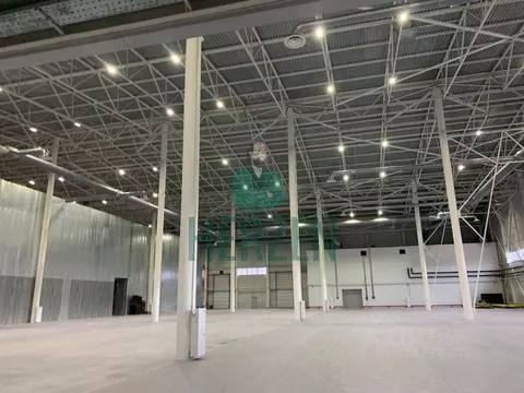 Производственное помещение в Москва д. Николо-Хованское, 1031с1 (2824 ...