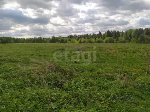 Участок в Вологодская область, Лиана садоводческое товарищество  (6.0 ...