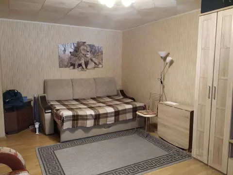 1-к кв. Московская область, Балашиха Железнодорожный мкр, ул. ...