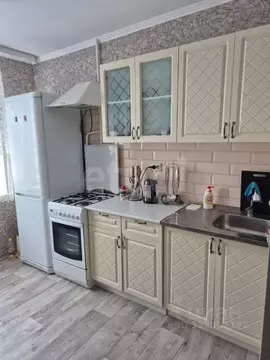 2-к кв. Оренбургская область, Оренбург Волгоградская ул., 42 (53.2 м)