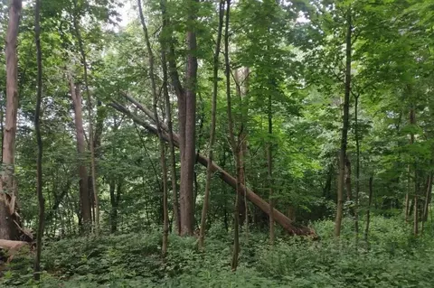 Участок в Московская область, Истра ул. Ленина, Река Истра (26.14 ...