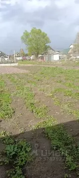 Участок в Тверская область, Калининский муниципальный округ, с. ...