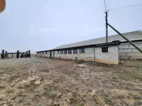 Производственное помещение в Волгоградская область, Светлоярский ...