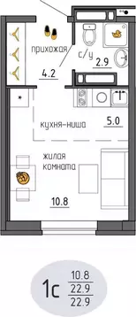 Студия Пермский край, Пермь Ижевская ул., 38 (22.9 м)