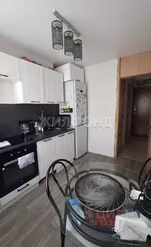 3-к кв. Новосибирская область, Новосибирск ул. Петухова, 146 (60.2 м)