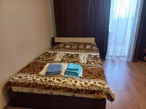 Студия Мордовия, Саранск ул. Короленко, 4 (28.0 м)