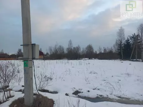 Участок в Ленинградская область, Лужский район, пос. Мшинская  (14.0 ...